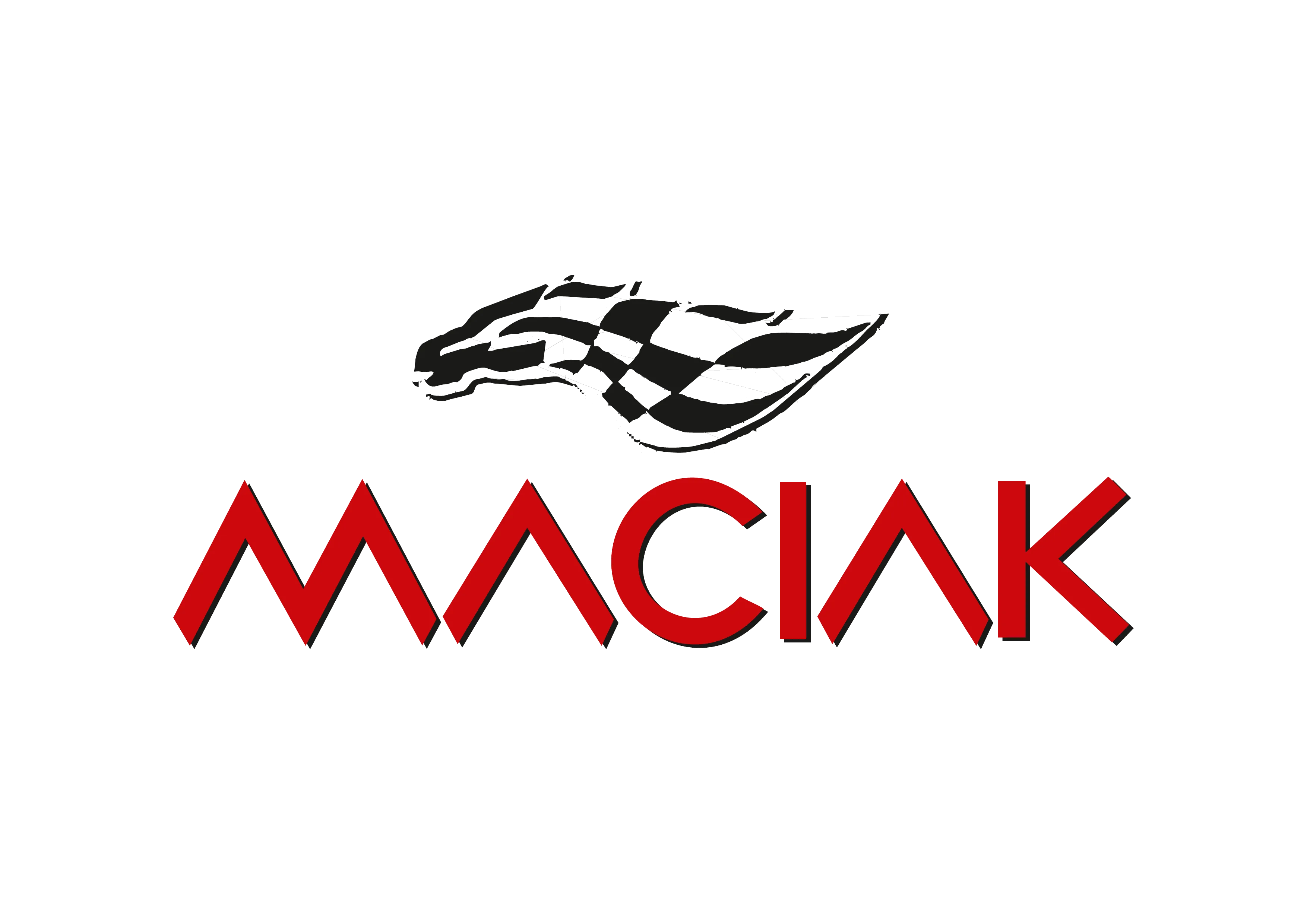 Maciak Auto Logo - Profesjonalne naprawy powypadkowe